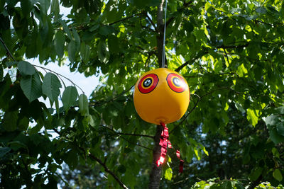 Inflated scare-eye bird repellent balloons moving in wind efficiently repel common unwanted birds 