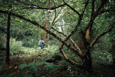 Man standing by tree in forest