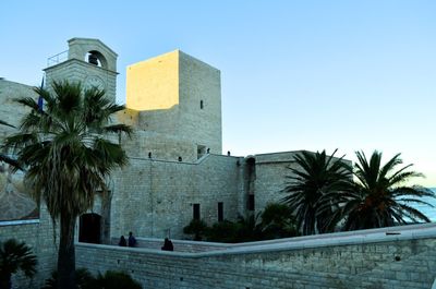 Low angle view of palm trees and building against sky