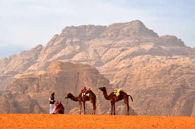 Group of people riding horses on mountain