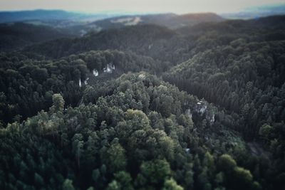 High angle view of trees and mountains against sky