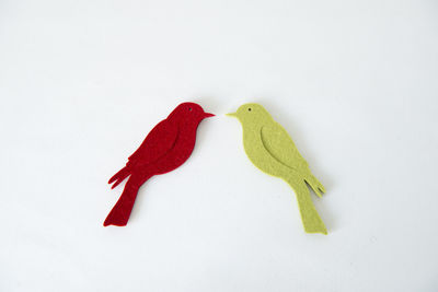 High angle view of a bird against white background