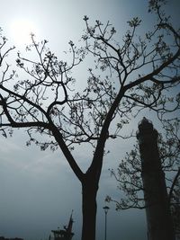 Low angle view of silhouette tree against sky