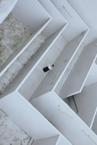 High angle view of bird at home