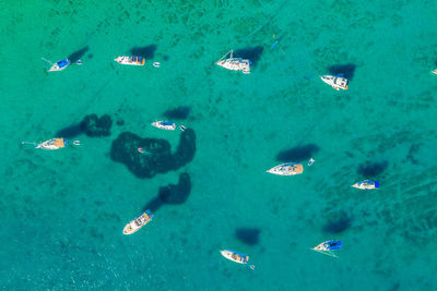 Aerial view of the iyachts and sailing boats near ist island, the adriatic sea in croatia