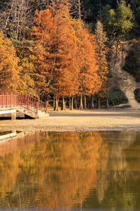 reflection