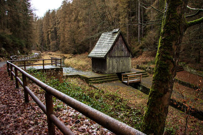 House amidst trees and plants in forest