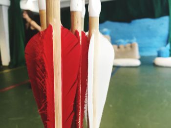 Close-up of clothes hanging on wood