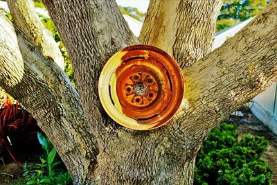 Close-up of abandoned telephone on grass