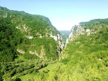 Scenic view of landscape against clear sky