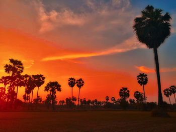 Silhouette palm trees against sky during sunset