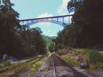 Railroad tracks in forest