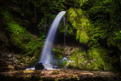 View of waterfall in forest