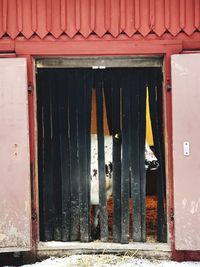 Closed door of building