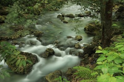 Scenic view of river flowing through rocks