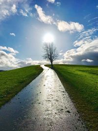 Road amidst bare trees on field against sky