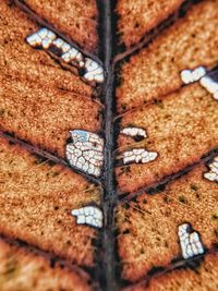 Full frame shot of rusty metal