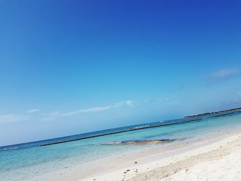 Scenic view of beach against blue sky