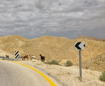 View of zebra crossing in the road