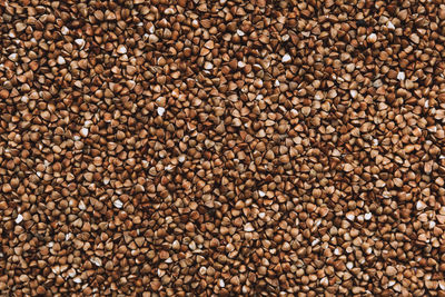 Full frame shot of coffee beans