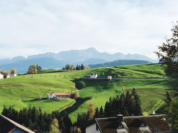 Scenic view of agricultural field against sky