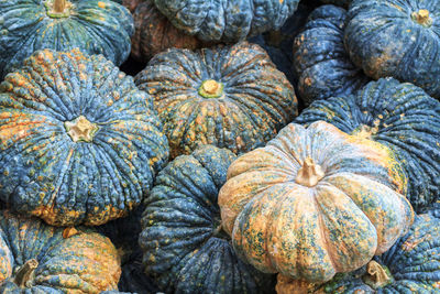 Full frame shot of pumpkins