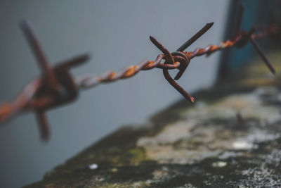 Close-up of barbed wire on fence