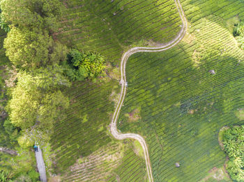 Aerial view of road on landscape