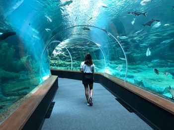 Full length rear view of man standing at aquarium