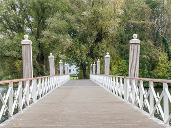 Footpath amidst trees in park