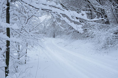 Winter road snowfall. an empty rural road without cars, covered with snowdrifts. 