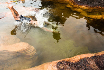 High angle view of duck swimming in lake