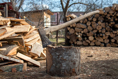 Stack of logs against trees