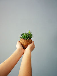 Midsection of person holding plant against white background