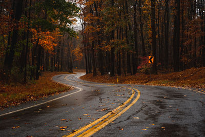 Road amidst trees in forest during autumn
