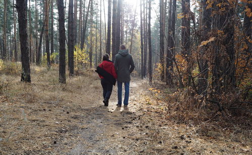 Young people are walking in the autumn forest, holding leaf fall.