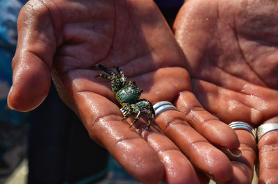 Close-up of hand holding