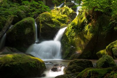 Beautiful waterfall in rainforest