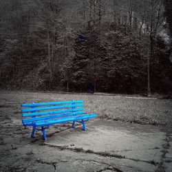 Empty bench in park