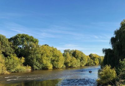 Scenic view of river amidst trees against sky