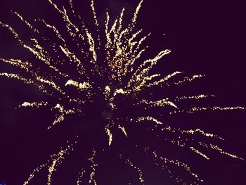 Low angle view of firework display at night