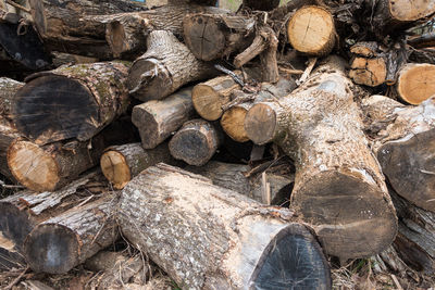 Full frame shot of logs