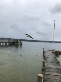 Seagulls perching on pier over lake against sky