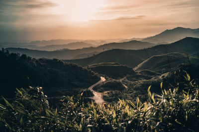 Scenic view of farm against sky during sunset