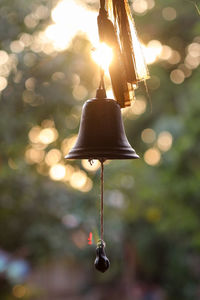 Close-up of illuminated christmas lights