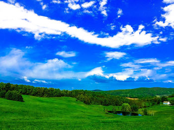 Scenic view of agricultural field against blue sky