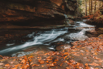 Stream flowing through rocks in forest during autumn