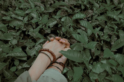 Low section of woman standing amidst plants