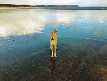 Man standing in water