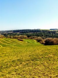 Scenic view of landscape against clear sky